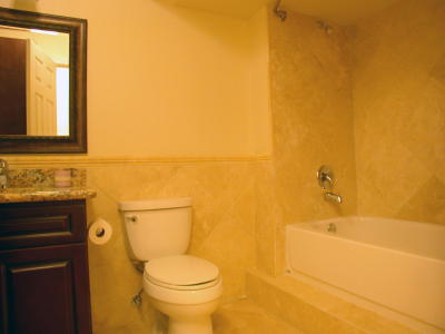 Lower level fireplace